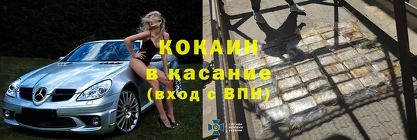 прущие грибы Бородино
